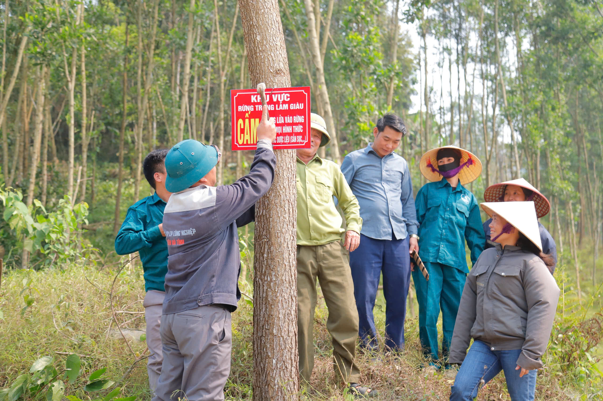 Xã Sơn Hồng chủ động bảo vệ rừng và phòng cháy chữa cháy rừng, phát triển cây dựng liệu