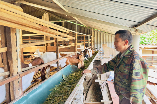 Phạm Văn Chiến làm giàu từ mô hình chăn nuôi tổng hợp