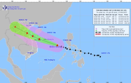 31615-a6cf257e6c8b4a262e8a15f89f021b30_hvn_440x280_jpg.webp